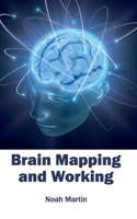 Brain Mapping and Working: (English)