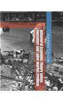 Behavioral Economic Theory Solves Consumer And Labor Market Problem: (11 Economy Rule Predicts Consumer Behaviors)