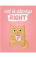 Cat Is Always Right