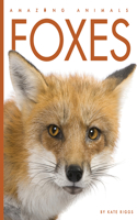 Foxes: (Amazing Animals)