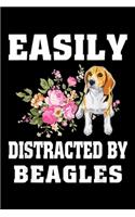 Easily Distracted By Beagles