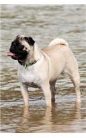 Pug Dog Lined Journal