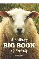 Knitter's Big Book of Projects