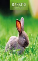 RABBITS 2023 SQUARE WALL CALENDAR