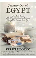 Journey Out of Egypt: A Mother's Journal of Her Daughter's Miraculous Survival and Recovery from Traumatic Brain Injury