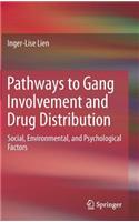 Pathways to Gang Involvement and Drug Distribution: Social, Environmental, and Psychological Factors