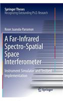 Far-Infrared Spectro-Spatial Space Interferometer: Instrument Simulator and Testbed Implementation