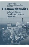 Eu-Umweltaudits: Zukunftsfähige Geschäftsprozesse Gestalten