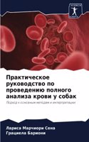 &#1055;&#1088;&#1072;&#1082;&#1090;&#1080;&#1095;&#1077;&#1089;&#1082;&#1086;&#1077; &#1088;&#1091;&#1082;&#1086;&#1074;&#1086;&#1076;&#1089;&#1090;&#1074;&#1086; &#1087;&#1086; &#1087;&#1088;&#1086;&#1074;&#1077;&#1076;&#1077;&#1085;&#1080;&#1102;