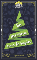 Un inconnu sous le sapin