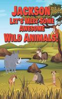 Jackson Let's Meet Some Awesome Wild Animals!