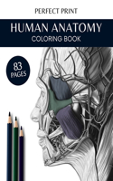 Human Anatomy Coloring Book