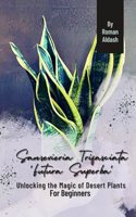Sansevieria Trifasciata 'Futura Superba': Unlocking the Magic of Desert Plants, For Beginners