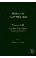 Microbial Metagenomics, Metatranscriptomics, and Metaproteomics: Volume 531(Volume 531 Methods in Enzymology)
