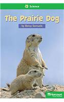 Storytown: Above Level Reader Teacher's Guide Grade 2 the Prairie Dog