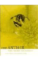 The Anther