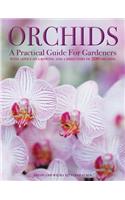 Orchids: A Practical Guide for Gardeners