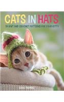 Cats in Hats