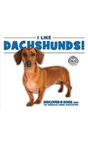 I Like Dachshunds!