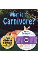 What is a Carnivore?