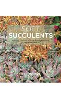 Soft Succulents