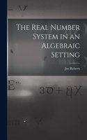 Real Number System in an Algebraic Setting