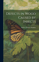 Defects in Wood Caused by Insects