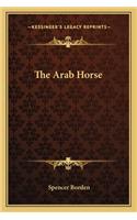 Arab Horse
