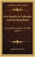 Five Months In Labrador And Newfoundland