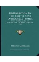 Regeneration In The Brittle-Star Ophiocoma Pumila