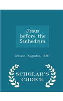 Jesus Before the Sanhedrim - Scholar's Choice Edition