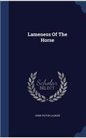 Lameness Of The Horse