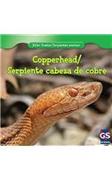Copperhead / Serpiente Cabeza de Cobre