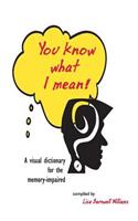 You Know What I Mean!: A visual dictionary for the memory-impaired(English)