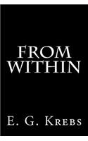 From Within: a NaNoWriMo 2012 novel