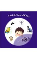 The Life Cycle of Chips