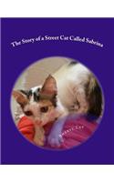 The Story of a Street Cat Called Sabrina