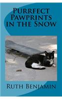 Purrfect Pawprints in the Snow