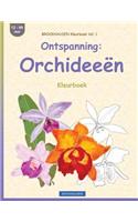 BROCKHAUSEN Kleurboek Vol. 1 - Ontspanning: Orchideeën: Kleurboek(1 Kleurboek)