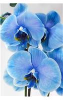 Blue Orchid Exotic Flower Journal