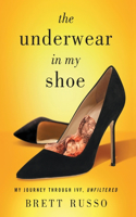 Underwear in My Shoe