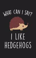 What Can I Say I Like Hedgehogs: Blank Lined Notebook To Write In For Notes, To Do Lists, Notepad, Journal, Funny Gifts For Hedgehog Lover