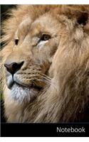Notebook: Lion, Wild, Africa, African themed Notebook / Journal / Diary / Composition book / Daily Planner - 6 x 9 inches (15,24 x 22,86 cm), 150 pages, gloss