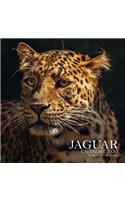 Jaguar Calendar 2020