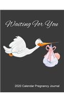 Waiting For You 2020 Calendar Pregnancy Journal