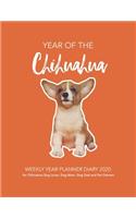 YEAR of the Chihuahua