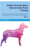 Golden Smooth Short Haired Collie Tricks Training Golden Smooth Short Haired Collie Tricks & Games Training Tracker & Workbook. Includes