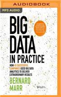 Big Data in Practice