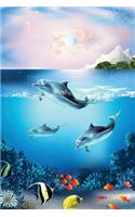 Dolphin Pod Journal