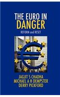 Euro in Danger